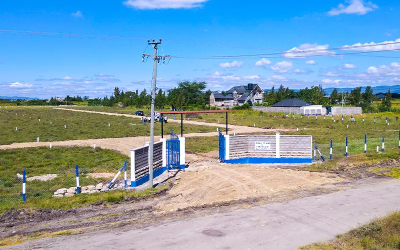 Josks Plains — gallery